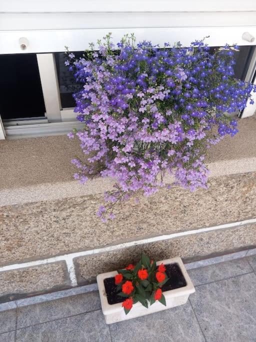 Precioso Apartamento En San Vicente De O Grove San Vicente do Grove Exteriör bild